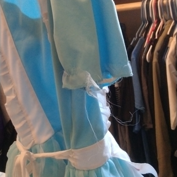 Alice in wonderland costume - Picture 5 of 8